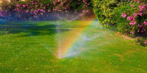 watering sprinkler lawn