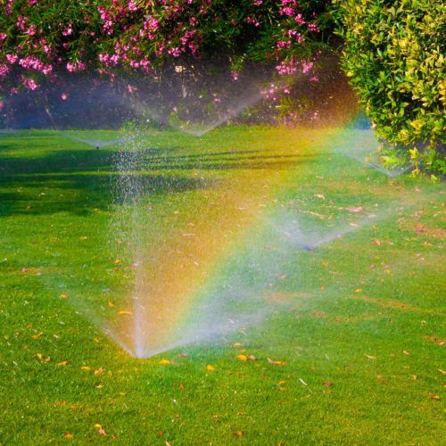 watering sprinkler lawn