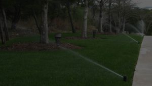 irrigation-success-story