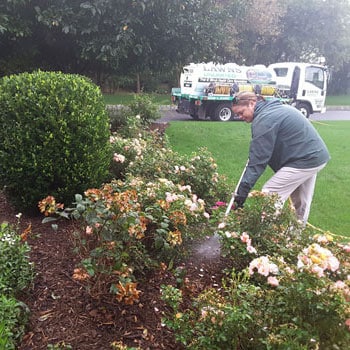 shrub-care-in-delaware